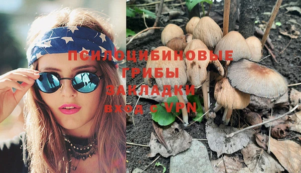 не бодяженный Алзамай