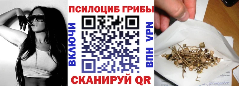 Псилоцибиновые грибы Cubensis  mega как войти  Шебекино 